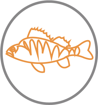png12